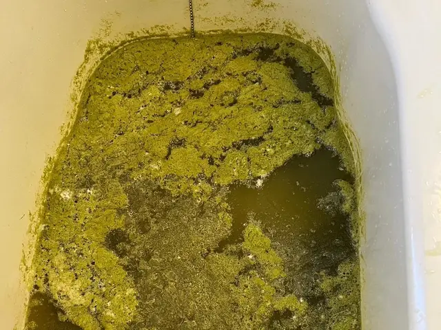 追い炊き配管の汚れは大丈夫ですか？見えない汚れも徹底洗浄サービスの画像