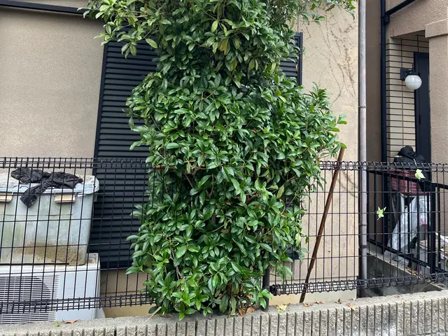 お客様のお力になります！経験と知識を活かして迅速丁寧に作業いたしますサービスの画像