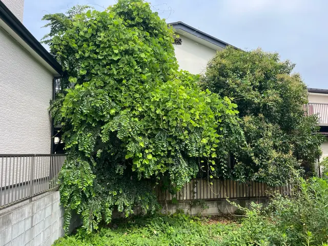 ご希望をお聞かせ下さい♪心を込めて丁寧に作業します！長年の経験で安心安全★サービスの画像