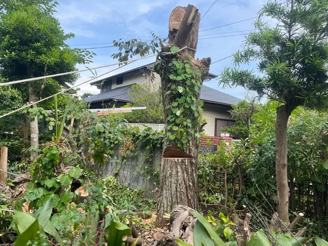 ご希望をお聞かせ下さい♪心を込めて丁寧に作業します！長年の経験で安心安全★サービスの画像