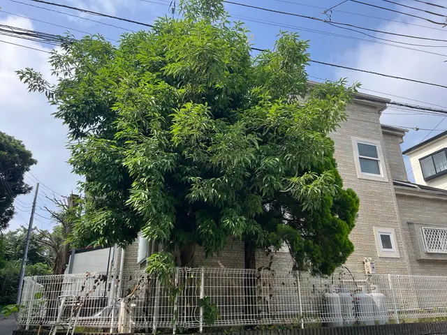 ご希望をお聞かせ下さい♪心を込めて丁寧に作業します！長年の経験で安心安全★サービスの画像