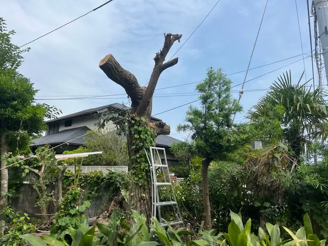 ご希望をお聞かせ下さい♪心を込めて丁寧に作業します！長年の経験で安心安全★サービスの画像