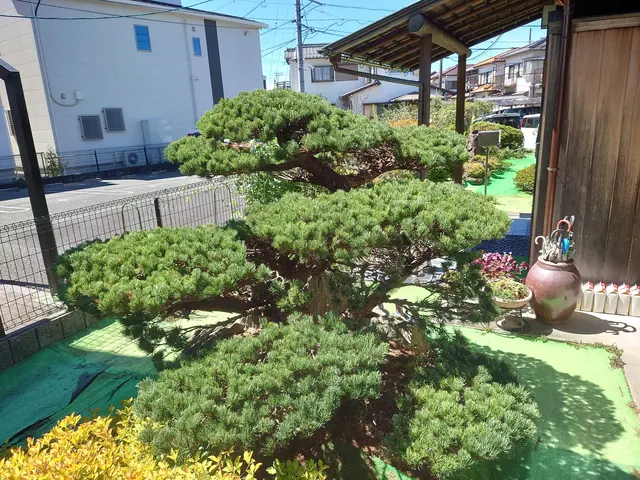 ＜年中無休＞お庭のことならなんでもご相談ください！気さくな若手庭師がお伺いしますサービスの画像