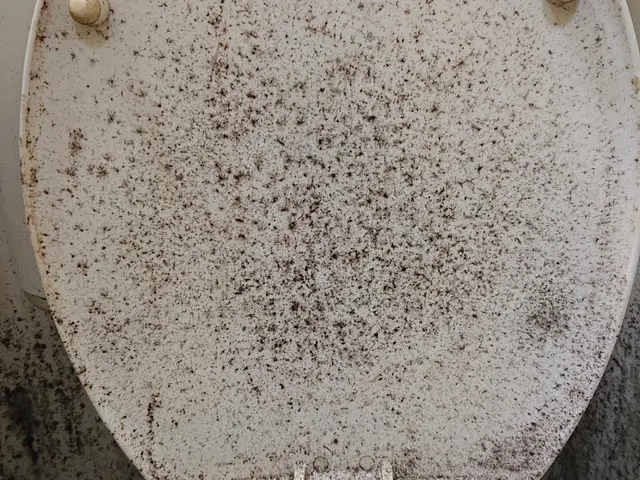 トイレの尿石、黄ばみ、黒ずみ除去します。これで、臭いのないピカピカトイレに。サービスの画像