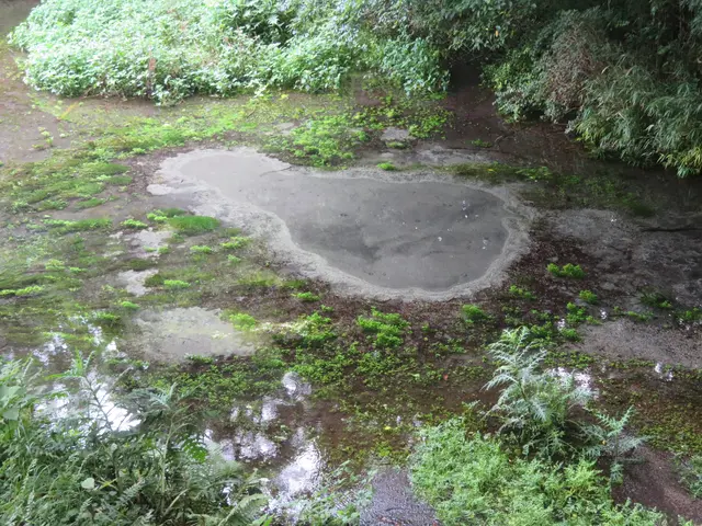 《女性スタッフ同行可能◎》静岡県発、年中無休♪営業時間外の予約も相談可能です★サービスの画像