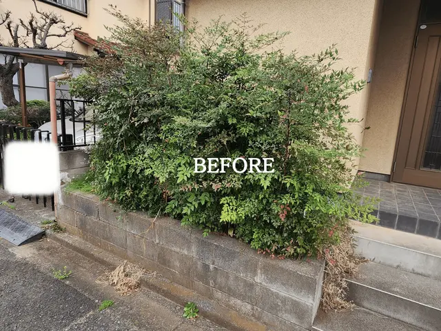 庭も気分も晴れやかに！草むしりお任せ便！サービスの画像