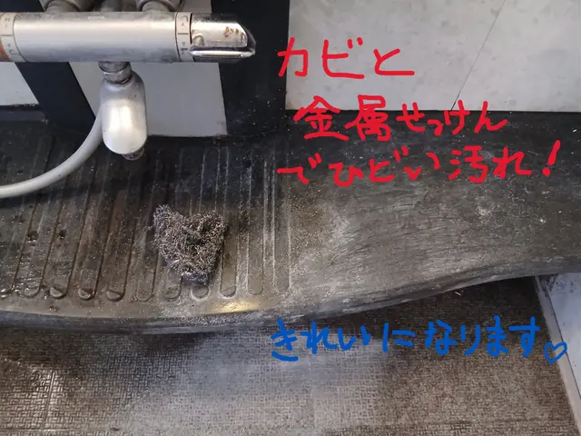 新年、1月は気持ちよくスタートしたい♪大掃除できなかった所は私にお任せください！サービスの画像