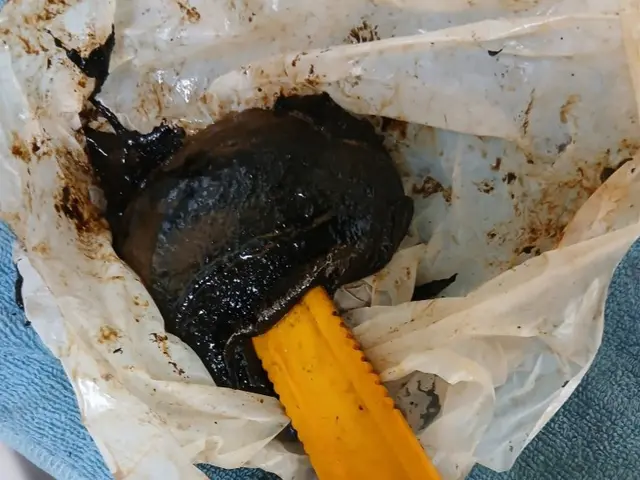 新年、1月は気持ちよくスタートしたい♪大掃除できなかった所は私にお任せください！サービスの画像