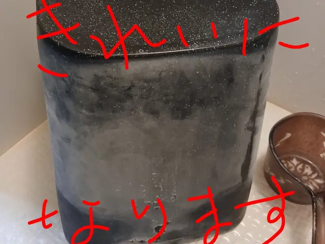 新年、1月は気持ちよくスタートしたい♪大掃除できなかった所は私にお任せください！サービスの画像