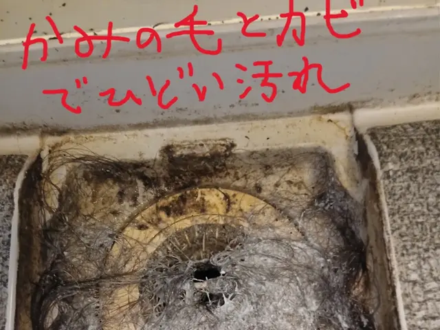 新年、1月は気持ちよくスタートしたい♪大掃除できなかった所は私にお任せください！サービスの画像