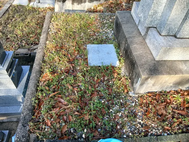 お客様のお力になります！経験と知識を活かして迅速丁寧に作業いたします！サービスの画像