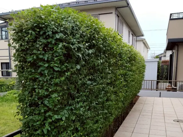 女性スタッフの同行OK◎作業外注一切なし◎当社スタッフがすべてご対応！サービスの画像