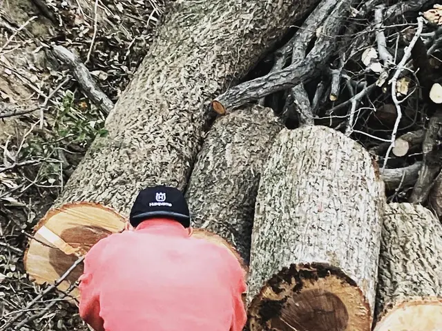 《樹木の伐採》駐車代お店負担◎仕上がり保証付き♪すべて自社で対応します。サービスの画像