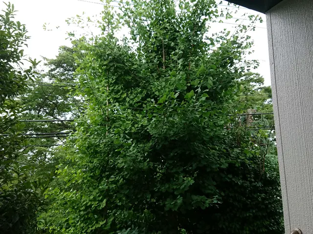 【作業外注一切なし◎】お客様の納得いくお庭作り致します！サービスの画像