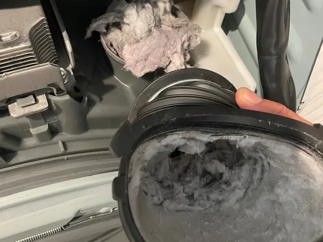 パナソニック等乾燥機能低下でお困りの方必見！洗濯機クリーニングをオススメします！サービスの画像