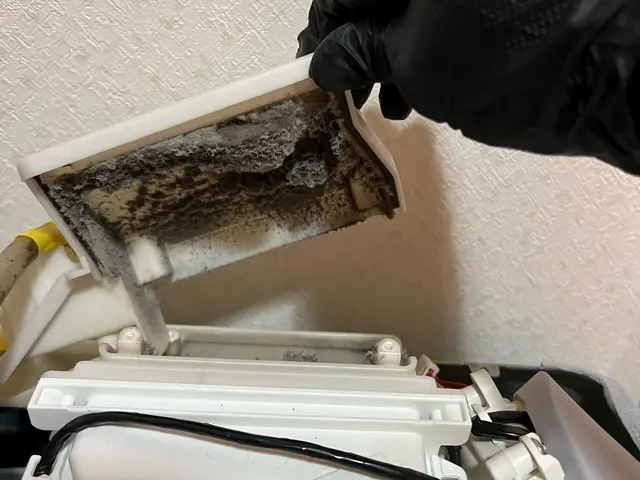 パナソニック等乾燥機能低下でお困りの方必見！洗濯機クリーニングをオススメします！サービスの画像