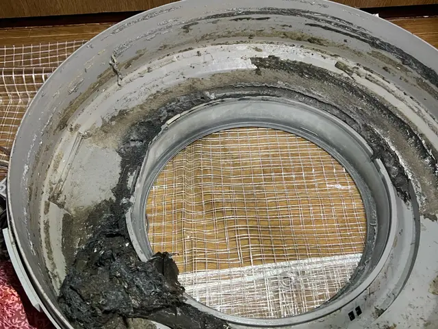 パナソニック等乾燥機能低下でお困りの方必見！洗濯機クリーニングをオススメします！サービスの画像