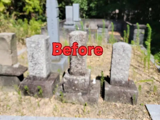 【岡山市東区発】処分費込みです！「足腰が痛くて出来ない」「面倒くさい」方は是非♪サービスの画像