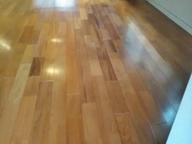 【年中無休・地域密着】　フロアークリーニングよろしくお願い致します！P代お店負担サービスの画像