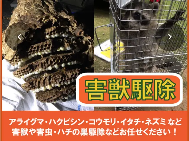 大手企業での豊富な経験と確かな技術力で、お客様の安全を第一に考えた作業をお約束サービスの画像