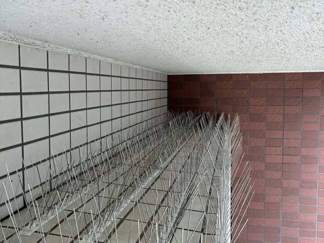 大手企業での豊富な経験と確かな技術力で、お客様の安全を第一に考えた作業をお約束サービスの画像