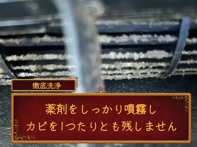 明日空きあり《期間限定超お得》追加料金無【女性リピート率が自慢】満足度98%サービスの画像