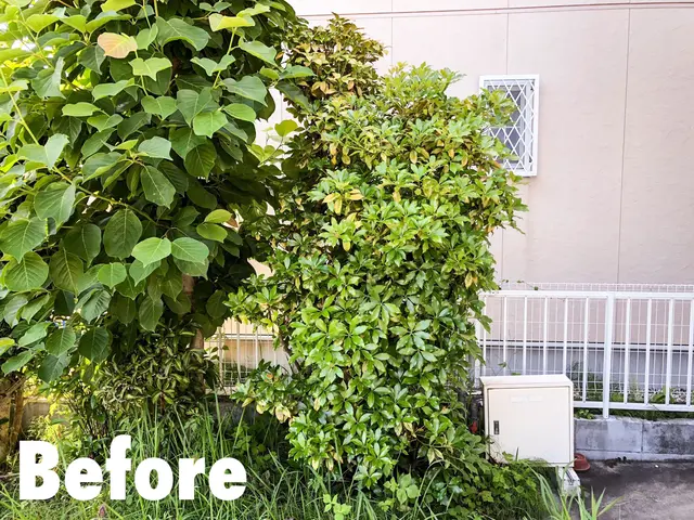 庭師歴12年◆プロの技術と知識と経験にお任せください！対応地域外も相談可能！サービスの画像