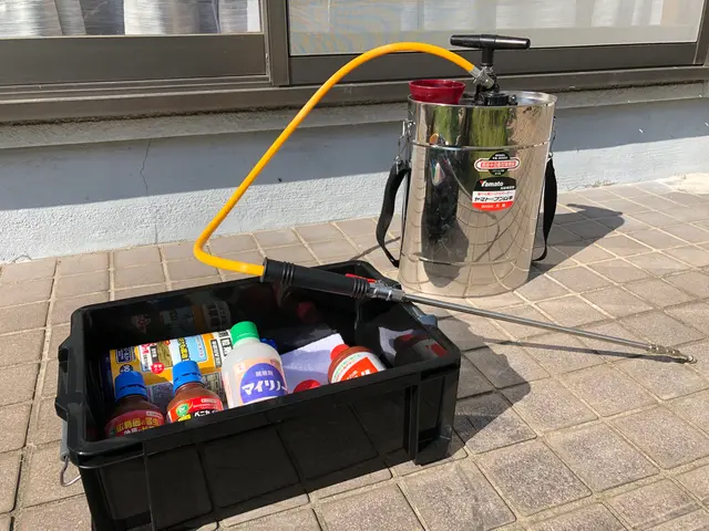 庭師歴12年◆プロの技術と知識と経験にお任せください！対応地域外も相談可能！サービスの画像