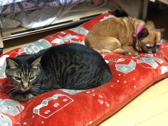 女性スタッフが対応◎業界10年以上の経験実績！【完全時間制料金！頭数制限なし】サービスの画像