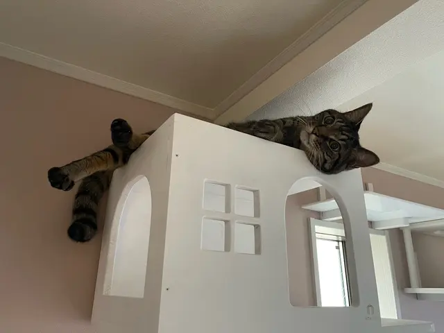 女性スタッフが対応◎業界10年以上の経験実績！【完全時間制料金！頭数制限なし】サービスの画像