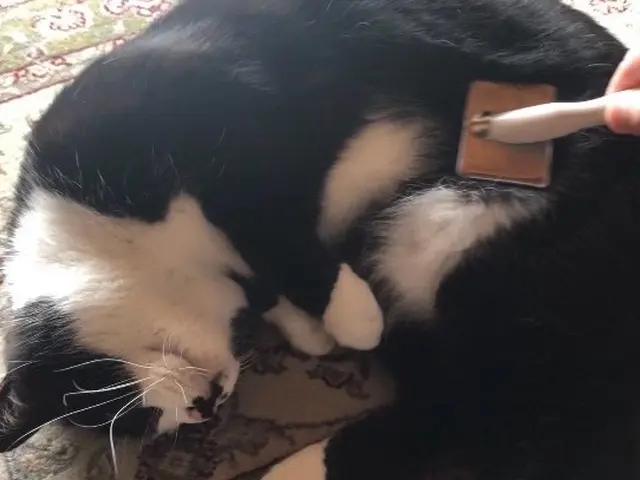 女性スタッフが対応◎業界10年以上の経験実績！【完全時間制料金！頭数制限なし】サービスの画像