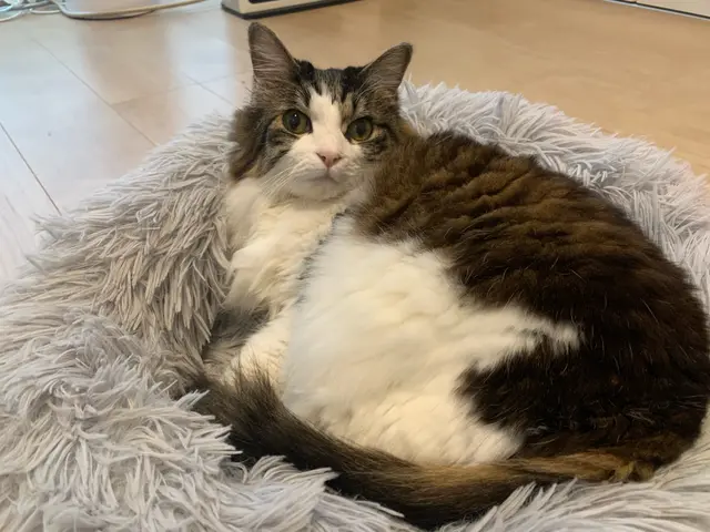 女性スタッフが対応◎業界10年以上の経験実績！【完全時間制料金！頭数制限なし】サービスの画像