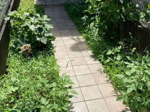 【即日対応】安心安全のサービス価格！店長自身が訪問◎草むしりはお任せください！サービスの画像