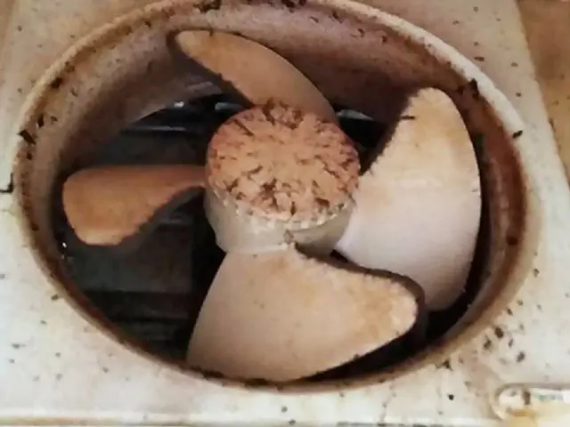 【換気扇お任せ下さい！】PayPay・他QR対応／損害保険加入サービスの画像