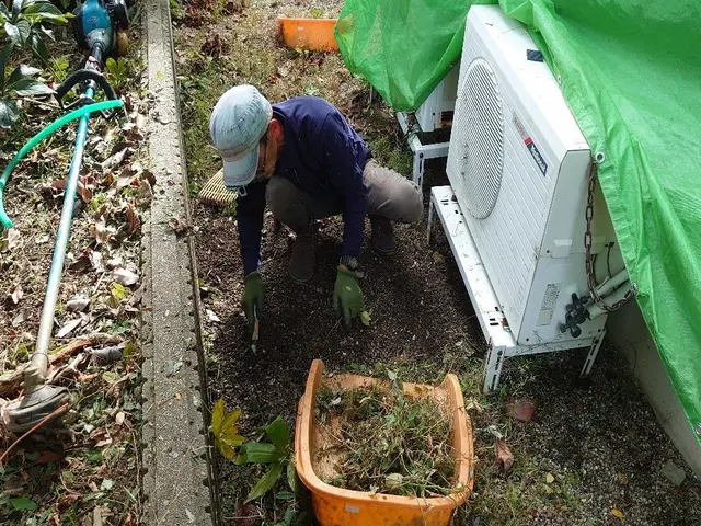 業歴30年以上！雑草はむしりません！抜根除草致します！サービスの画像