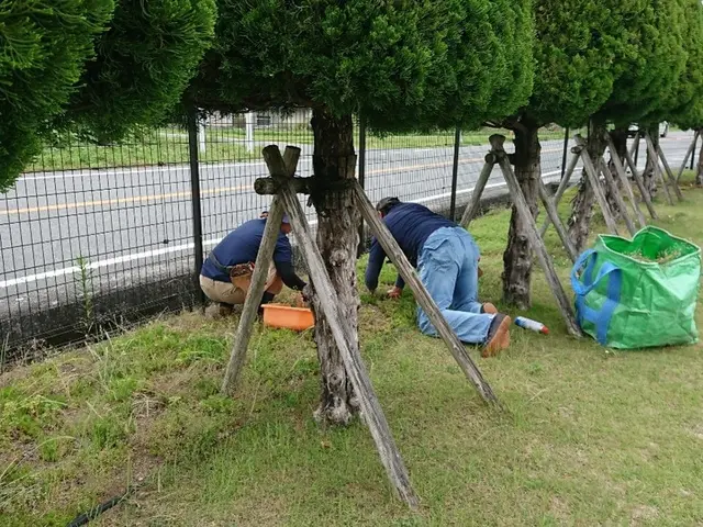 業歴30年以上！雑草はむしりません！抜根除草致します！サービスの画像