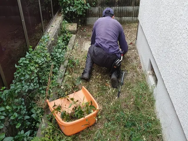 業歴30年以上！雑草はむしりません！抜根除草致します！サービスの画像
