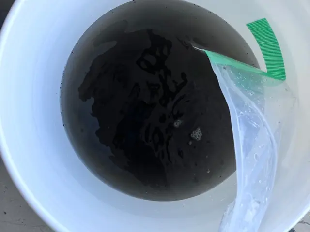 【10年の実績】年中無休！何時でもOK 丁寧安心かつ匂いの強い洗剤は不使用サービスの画像