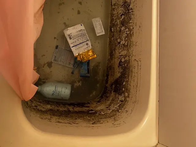 【12月出店】安心の損害保険加入済み◉若さでフットワーク軽く★大手経験あり♪サービスの画像