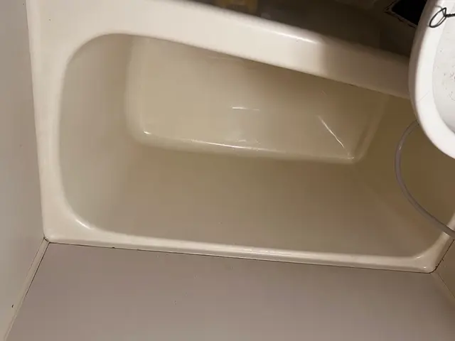 【12月出店】安心の損害保険加入済み◉若さでフットワーク軽く★大手経験あり♪サービスの画像