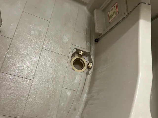 【12月出店】安心の損害保険加入済み◉若さでフットワーク軽く★大手経験あり♪サービスの画像