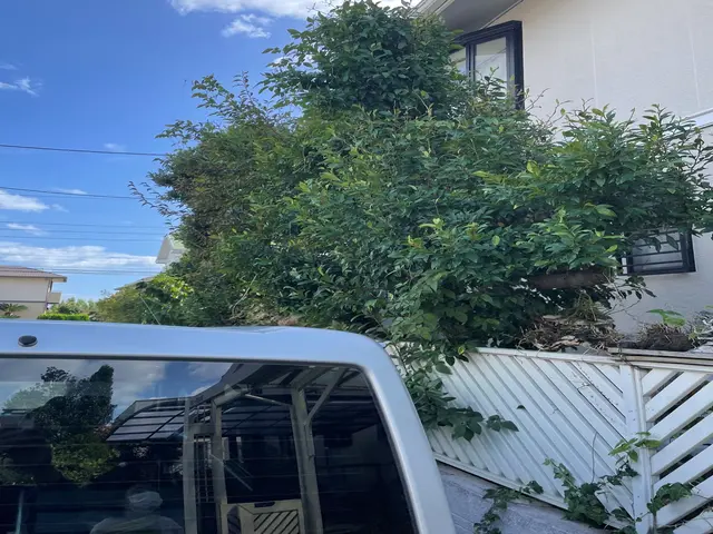 【三重県全域対応】あなたのお庭を綺麗に！どこよりも丁寧な接客、技術！サービスの画像