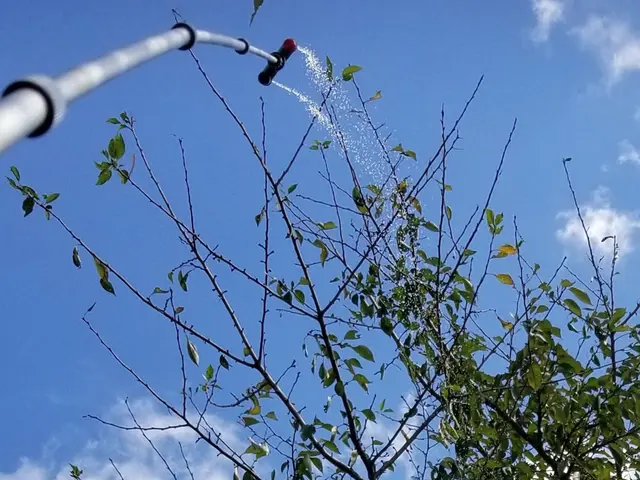 迅速・丁寧・満足 毛虫駆除の決定版！プロの技でスピード駆除サービスの画像