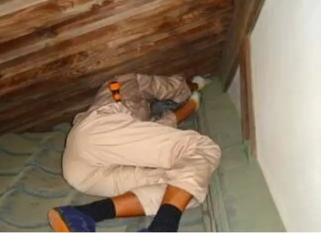 【業歴16年】年中無休◎自社スタッフがお伺いします◎営業時間外も対応可ネズミ駆除サービスの画像