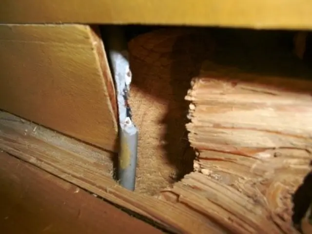 【業歴16年】年中無休◎自社スタッフがお伺いします◎営業時間外も対応可ネズミ駆除サービスの画像