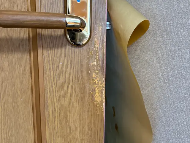 木製ドア補修(その他木部全般)サービスの画像
