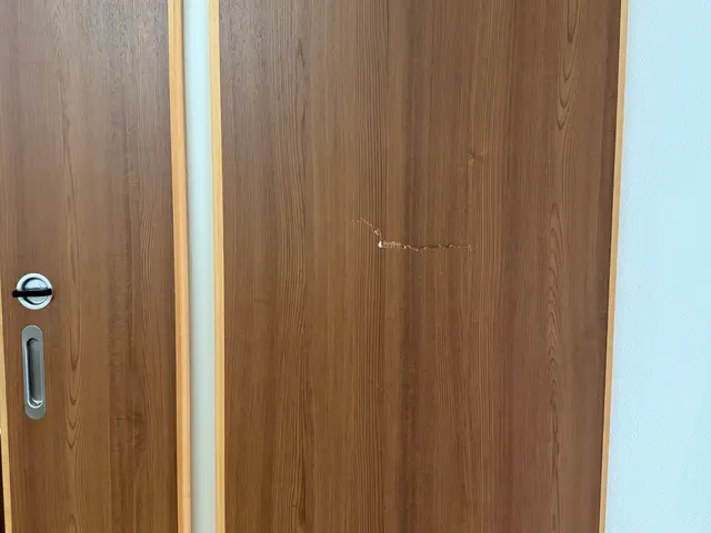 木製ドア補修(その他木部全般)サービスの画像