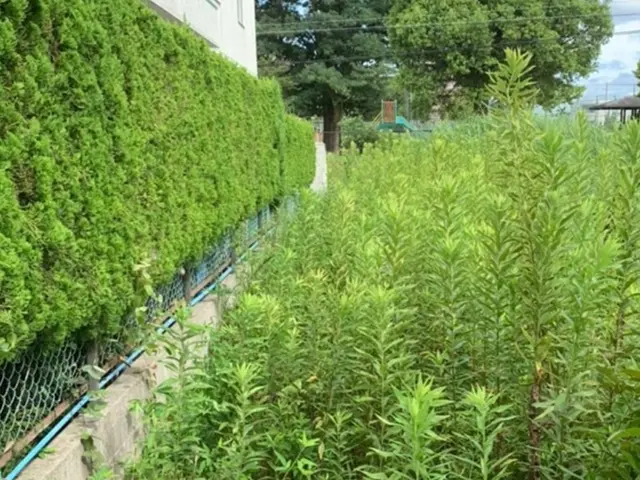 ◆予約から施工まで100％自社対応◆営業時間外OK！お任せください！サービスの画像