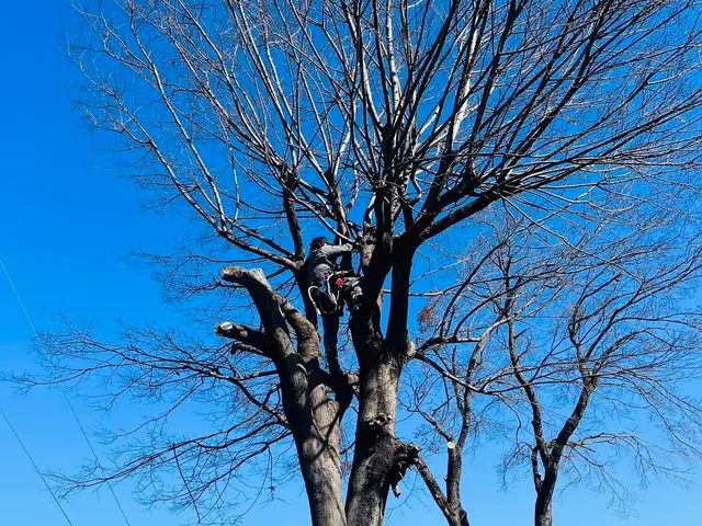 【大手での経験あります！】お気軽にご相談ください！！サービスの画像