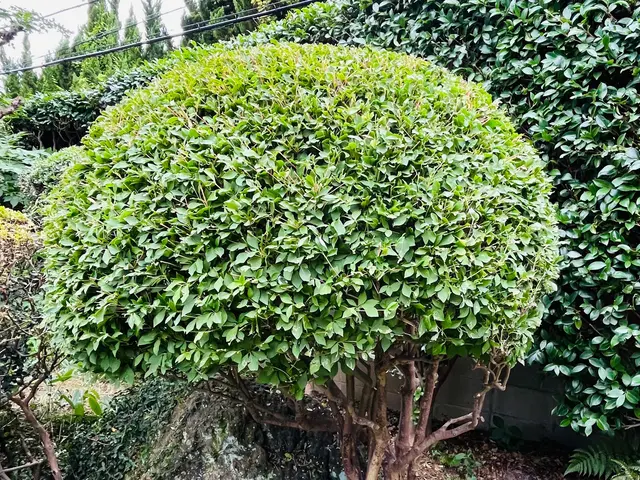 【大手での経験あります！】お気軽にご相談ください！！サービスの画像